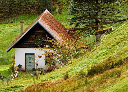 bianca, Marrone, baracca, collina, alberi, mulino, vecchio, costruzione, storicamente, romantico, vecchio mulino, misterioso, prima pagina, Mulino ad acqua, idilliaco, nostalgia, foresta, natura, nel verde, foresta Nera, struttura costruita, architettura, pianta, albero, esterno dell'edificio, colore verde, crescita, erba, terra, giorno, Casa, nessuno, bellezza nella natura, campo, paesaggio, la tranquillità, all'aperto, scena non urbana, Cottage, 4K, CC0, dominio pubblico, privo di copyright