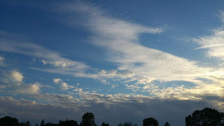 nuvole, cirro, tramonto, veneto, natura, cielo, nuvola - cielo, blu, Paesaggi, all'aperto, Cloudscape, tempo metereologico, bellezza nella natura, estate, paesaggio, la tranquillità, nessuno, albero, Inquadratura dal basso, pianta, scenics - natura, sfondi, ambiente, giorno, scena tranquilla, cielo drammatico, cima dell'albero, meteorologia, 5K