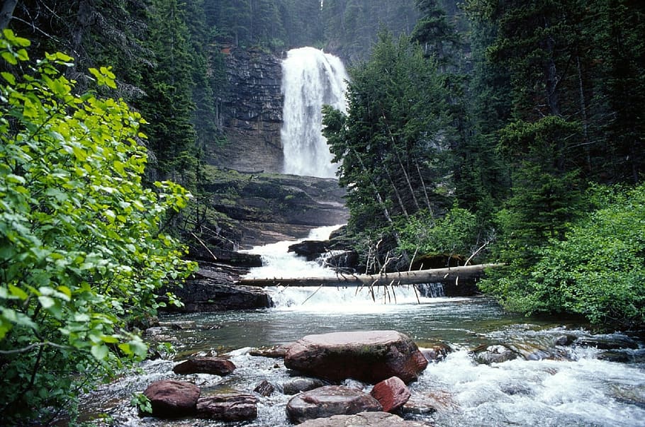 vandfald, omgivet, træer, strøm, landskab, vand, natur, flyder, klipper, virginia falls, glacier nationalpark, vild, kaskade, Skov, robust, plante, skønhed i naturen, flydende vand, bevægelse, træ, scenics - natur, lang eksponering, vækst, klippe, solid, rock-objekt, sløret bevægelse, magt i naturen, ingen mennesker, udendørs, faldende vand, strøm - rindende vand, regnskov, 1080P