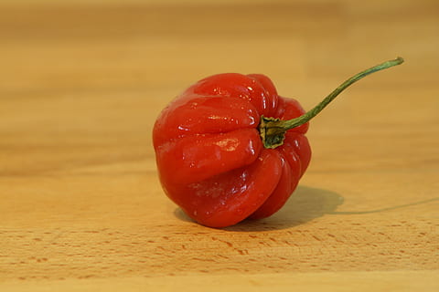 chili, rød, køkken, skarp, bælg, mad, pikant, spise, fyrig, chili peber, krydderier, sæson, mad og drikke, grøntsag, sund kost, velvære, stilleben, bord, friskhed, peber, indendørs, tæt på, frugt, ingen mennesker, træ - materiale, tomat, rød chili peber, krydderi, fokus på forgrunden, moden, 4K, CC0, offentligt domæne, royaltyfrie