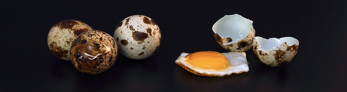 vagtel æg, skal, stegt, lavede mad, spise, mad, æg, protein, æggeblomme, header, banner, hovedbillede, mad og drikke, studio skud, sund kost, ingen mennesker, velvære, sort baggrund, indendørs, friskhed, tæt på, panoramisk, gruppe af objekter, dyreæg, brød, grøntsag, æggeskal, tværsnit, 4K, CC0, offentligt domæne, royaltyfrie