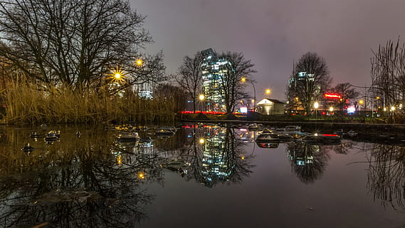 inverno, árvore, cidade, reflexão, tarde, gelo, skyline, Hamburgo, luzes, reflexões, agua, espelhamento, humor, abendstimmung, superfície da água, reflexão de água, natureza, leve, iluminado, noite, estrutura construída, arquitetura, beira-mar, exterior do edifício, céu, ninguém, plantar, ao ar livre, árvore nua, construção, lago, equipamento de iluminação, 5K, CC0, domínio público, royalty free