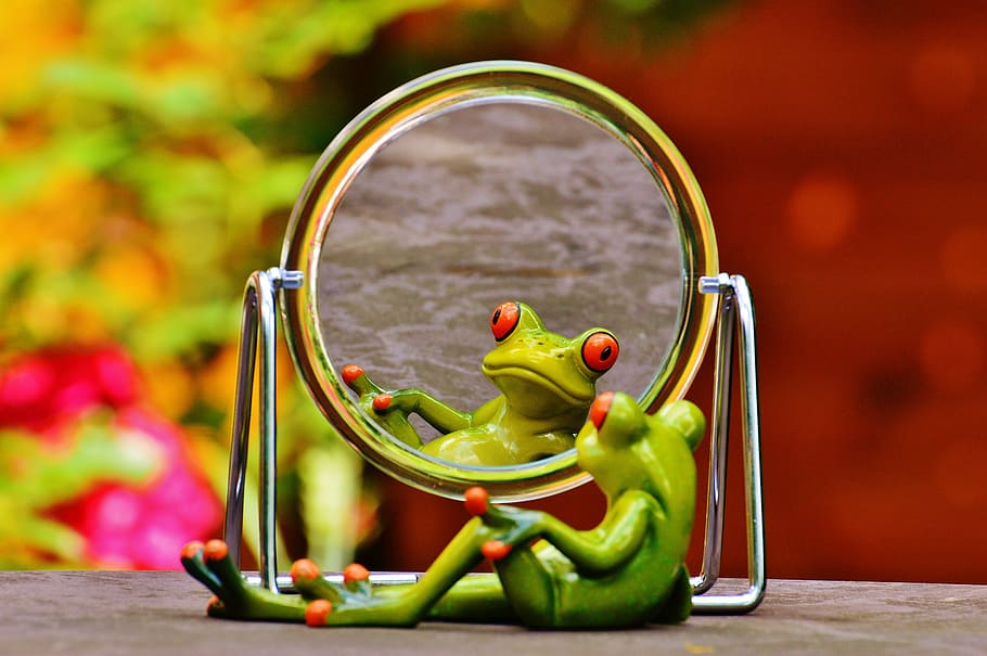 green, frog, looking, mirror, mirror image, mirroring, cute, funny, fun, figure, sweet, toy, animal, backgrounds, green color, vegetable, food, food and drink, no people, healthy eating, focus on foreground, table, container, wood - material, animal themes, multi colored, freshness, nature, jar, outdoors, wellbeing, fruit, art and craft, 5K