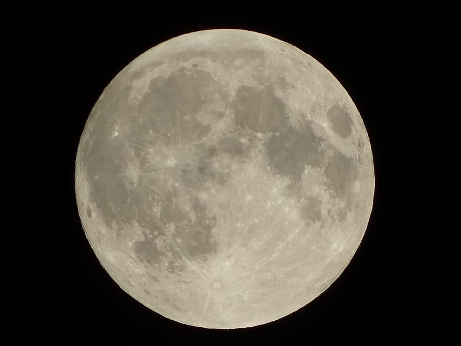 lua cheia, lua, cinzento, noite, superfície da lua, astronomia, lua planetária, espaço, céu, forma geométrica, círculo, beleza na natureza, natureza, scenics - natureza, esfera, forma, tranquilidade, ninguém, fechar-se, majestoso, ao ar livre, Sombrio, astrologia, espaço e astronomia, luar, 5K
