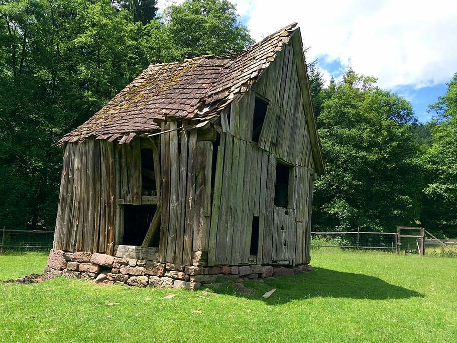 capanna, decaduto, fienile, scala, intemperie, decadimento, vecchio casolare, esterno dell'edificio, architettura, erba, Casa, legno - materiale, struttura costruita, pianta, colore verde, natura, campo, albero, giorno, terra, costruzione, nessuno, crescita, paesaggio, cielo, all'aperto, abbandonato, Cottage, cabina, 2K