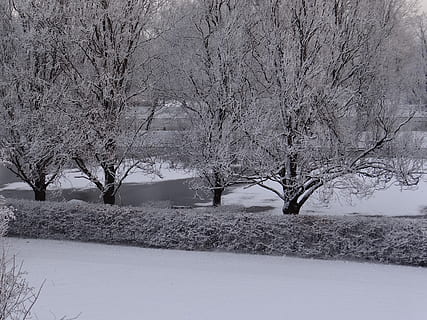 winterlich, Schnee, Bäume, Winterzauber, Natur, Wasser, Fluss, Eis, kalte Temperatur, Winter, Baum, Pflanze, kahler Baum, keine Leute, Schönheit in der Natur, Ruhe, gefroren, Ast, Szenen - Natur, ruhige Szene, Umgebung, Tag, Land, Abdeckung, Baumstamm, draußen, extremes Wetter, schneit, Schneesturm, 2K, CC0, gemeinfrei, lizenzfrei