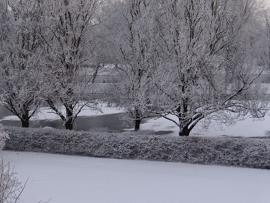 winterlich, Schnee, Bäume, Winterzauber, Natur, Wasser, Fluss, Eis, kalte Temperatur, Winter, Baum, Pflanze, kahler Baum, keine Leute, Schönheit in der Natur, Ruhe, gefroren, Ast, Szenen - Natur, ruhige Szene, Umgebung, Tag, Land, Abdeckung, Baumstamm, draußen, extremes Wetter, schneit, Schneesturm, 2K