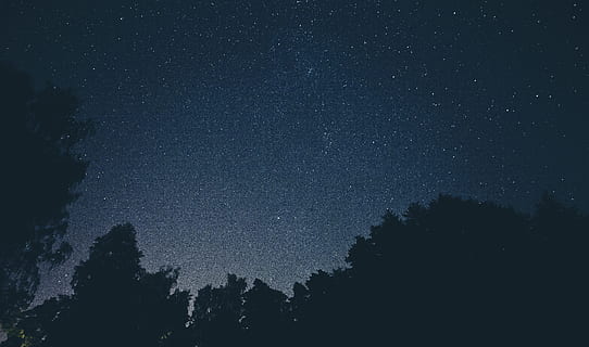 himmel, fyldt op, stjerner fotografering, nattetid, silhuet foto, stjerner, stjerneklar nat, Foto, stjerne, træ, nat, silhuet, astronomi, stjerne - rum, Mælkevejen, konstellation, natur, mørk, plads, galakse, blå, stjernetåge, stjerne felt, ingen mennesker, landskab, skønhed i naturen, plante, scenics - natur, ro, rolig scene, vækst, lav vinkel visning, idyllisk, rum og astronomi, 5K, CC0, offentligt domæne, royaltyfrie