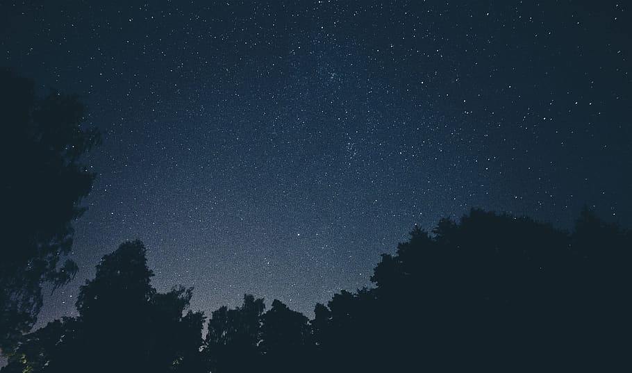 himmel, fyldt op, stjerner fotografering, nattetid, silhuet foto, stjerner, stjerneklar nat, Foto, stjerne, træ, nat, silhuet, astronomi, stjerne - rum, Mælkevejen, konstellation, natur, mørk, plads, galakse, blå, stjernetåge, stjerne felt, ingen mennesker, landskab, skønhed i naturen, plante, scenics - natur, ro, rolig scene, vækst, lav vinkel visning, idyllisk, rum og astronomi, 5K