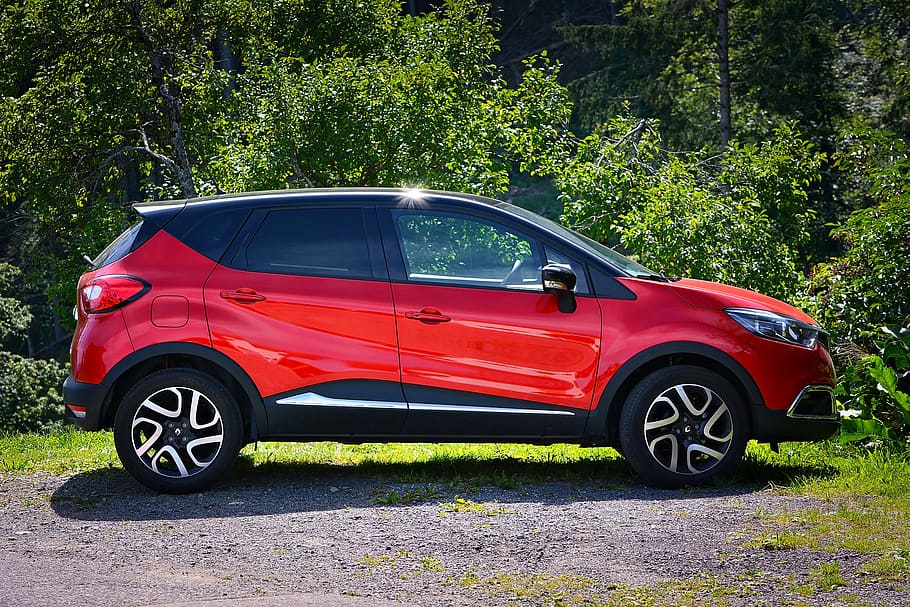 vermell, renault crossover, aparcat, arbusts, automàtic, suv, vehicle, cotxe petit, turismes, automoció, naturalesa, cotxe, vehicle terrestre, transport, roda, motor, velocitat, carrer, manera de transport, automòbil, planta, arbre, dia, cap gent, color verd, carretera, ciutat, terra, creixement, a l'aire lliure, estil retro, viatjar, 1080P