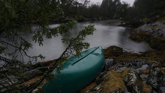 green, canoe, beside, body, water, daytime, lake, rocks, coast, trees, plant, nature, outdoor, boat, grass, nautical vessel, transportation, moored, mode of transport, no people, tranquility, river, mode of transportation, tree, day, outdoors, land, scenics - nature, adventure, rock, tranquil scene, sinking, recreational boat, pollution, 4K