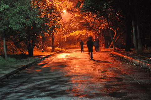 man, walking, road, trees, lost, hell, limbo, night, dark, forest, alone, lamp, darkness, people, scary, zombies, horror, escape, running, run away, yin, yan, blue, red, nobody, wisdom, knowledge, enlightment, abstract, wood, yellow, autumn, outdoors, men, tree, street, nature, plant, real people, direction, the way forward, lifestyles, two people, full length, leisure activity, footpath, orange color, women, growth, rear view, togetherness, change, positive emotion, couple - relationship, 4K, CC0, public domain, royalty free