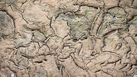 textura, fons, sòl, sequera, esquerdes, resistent, disseny, capa, sec, grungy, fons i textures, grunge, envellit, naturalesa, cap gent, dia, esquerdat, marc complet, geologia, rock, escenics - natura, rock - object, clima àrid, bellesa a la natura, clima, terra, a l'aire lliure, medi ambient, sòlid, paisatge, primer pla, poder a la natura, 5K, CC0, domini públic, lliure de regalies