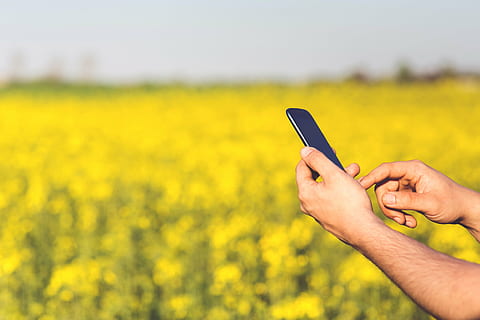 person, holding, black, android smartphone, smartphone, daytime, mobile, hands, man, yellow, flowers, field, technology, touchscreen, oilseed rape, agriculture, crop, wireless technology, communication, nature, human hand, human body part, mobile phone, smart phone, portable information device, flower, hand, one person, flowering plant, adult, land, connection, body part, outdoors, 4K