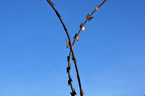 cable de bloqueo, seguridad, cielo azul, fondo, cielo, azul, naturaleza, cielo limpio, nadie, copia espacio, vista de ángulo bajo, planta, día, belleza en la naturaleza, al aire libre, tallo de la planta, crecimiento, tranquilidad, rama, árbol, de cerca, luz del sol, centrarse en primer plano, seco, 4K, CC0, dominio público, libre de derechos