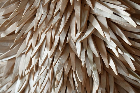 patró, coco, llum, deco, fons, il·luminació, sala d'estar, atmosfera, decoració, marc complet, primer pla, cap gent, gran grup d'objectes, natura morta, marró, abundància, material de fusta, dia, textura, a l'interior, sec, repetició, centrar-se en primer pla, vista d’angle alt, menjar i beguda, menjar, fulla de palma, 5K, CC0, domini públic, lliure de regalies