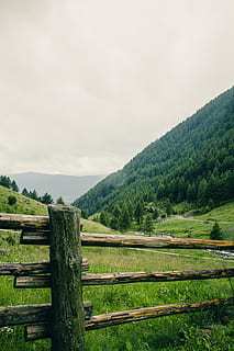 Mai Mult, destinaţie, vedere, punct de vedere, Munte, timp liber, platou, locuri de interes, turism, vacanţă, drumeții, alpinism, natură, parc natural, pădure, câmpuri, peisaj, stâncă, vedere îndepărtată, previziune, munţi, copaci, tiroul de sud, alpin, dolomitele, Italia, nordul Italiei, lemn - material, o scenă liniștită, plantă, cer, barieră, liniște, frumusețe în natură, limite, gard, scenice - natura, Culoarea verde, nici o persoana, copac, teren, mediu inconjurator, iarbă, zi, în aer liber, lemn, post de lemn, 5K, CC0, domeniu public, fără drepturi de autor