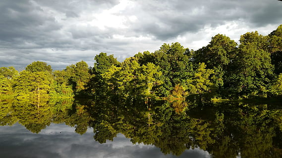 Bäume, See, grau, Wolken, Baum, Natur, Blatt, Landschaft, Holz, Fluss, Grün, Laub, natürlich, bunt, Jahreszeit, Wald, Blätter, Sonnenlicht, szenisch, sonnig, Wetter, Zauber, fallen, draussen, Frieden, still, glücklich, magisch, Licht, Beleuchtung, scheinen, hell, Schönheit, wunderschönen, Himmel, Sommer-, Frühling, wolkig, wolke - himmel, Reflexion, Wasser, Pflanze, Schönheit in der Natur, Ruhe, Szenen - Natur, Wachstum, ruhige Szene, grüne Farbe, keine Leute, stehendes Wasser, Tag, Ufergegend, Nicht-städtische Szene, draußen, Reflexionssee, 2K, CC0, gemeinfrei, lizenzfrei