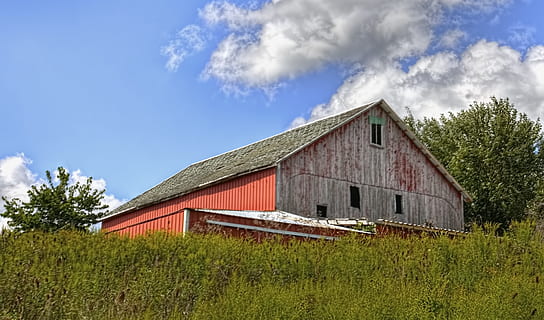 fienile, rustico, fienili, intemperie, Ohio, arte digitale, rurale, panoramico, nazione, campagna, scenario, capannone, capannoni, azienda agricola, aziende agricole, agricoltura, agricolo, agriturismo, champagne, contea, americana, foto, fotografia, struttura, strutture, Sturgell, William Sturgell, Bill Sturgell, storico, Home decor, edifici, nuvole, cielo, albero, alberi, nuvoloso, cieli, erbacce, contea di champagne, urbana, architettura, struttura costruita, nuvola - cielo, esterno dell'edificio, pianta, costruzione, erba, natura, scena rurale, paesaggio, Casa, terra, campo, giorno, nessuno, edificio agricolo, all'aperto, 2K, CC0, dominio pubblico, privo di copyright