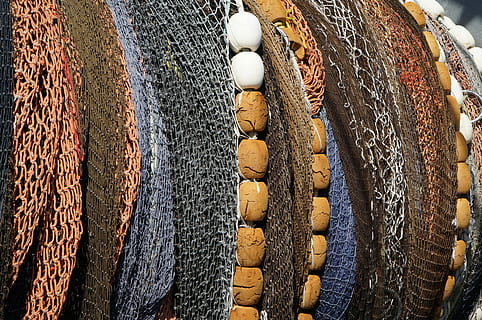 pesce, netto, galleggiante, catturare, pesca, pesce, netto, commerciale, industria, all'aperto, affrontare, pescatore, oceano, bianca, trawler, tamburo, grande gruppo di oggetti, nessuno, variazione, in casa, cibo, avvicinamento, cibo e bevande, freschezza, natura morta, mercato, abbondanza, vista dall'alto, giorno, scelta, Al dettaglio, in vendita, ingrediente, Spezia, pila, benessere, esposizione al dettaglio, industria ittica, 4K, CC0, dominio pubblico, privo di copyright