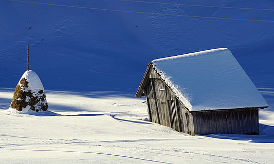 invierno, granero, nieve, escala, madera, cuarto de troncos, naturaleza, rural, antiguo, techo, estado animico, erosionado, paisaje, choza, juego de sombras, decaer, bosque, arboles, luz del sol, Hispano, todavía, marrón, atmósfera, blanco, descanso, idilio, idílico, almiar, heno, caza, torcido, temperatura fría, estructura construida, exterior del edificio, arquitectura, día, edificio, azul, cielo, el color blanco, cubierta, nadie, casa, cielo limpio, congelado, al aire libre, 5K, CC0, dominio público, libre de derechos