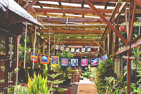 madera, paisaje, las flores, banderas, comercio, luz, flora, jardín, invernadero, mercado, al aire libre, pavimento, plantas, montones, tienda, de madera, planta, arquitectura, estructura construida, día, nadie, techo, crecimiento, material de madera, naturaleza, adentro, en una fila, planta en maceta, multi color, texto, colgando, luz del sol, flor, Viga de techo, 4K, CC0, dominio público, libre de derechos