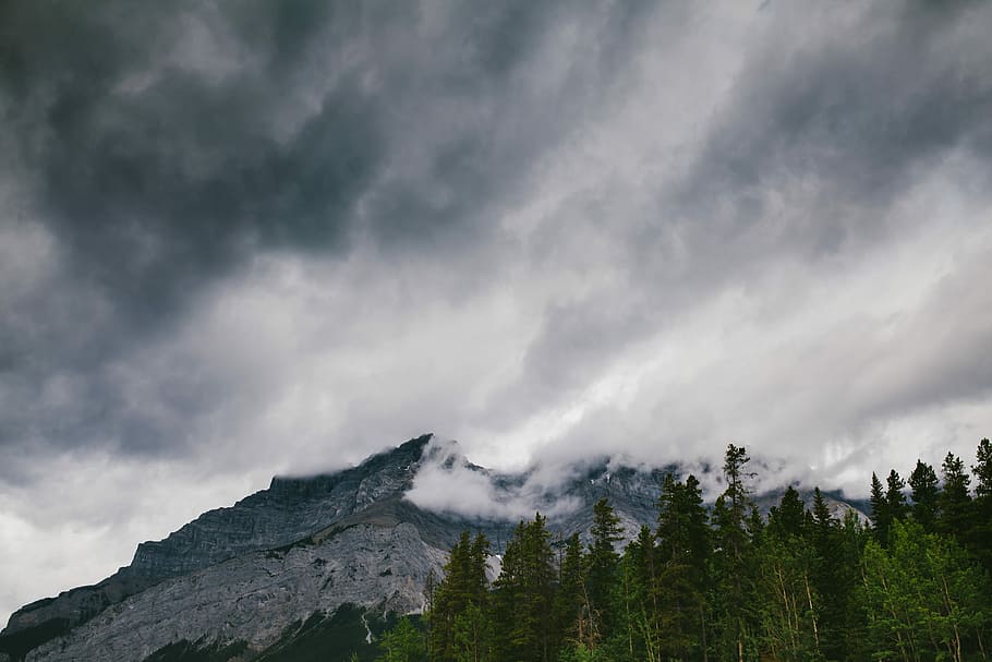 grigio, roccioso, montagna, verde, alberi, bianca, nuvole, mare, foresta, nube, albero, paesaggio, natura selvaggia, tempesta, Banff, catena montuosa, Fumo, nuvoloso, cielo scuro, al di fuori, cielo, Canada, nuvola - cielo, bellezza nella natura, scenics - natura, pianta, natura, ambiente, scena non urbana, scena tranquilla, nessuno, terra, la tranquillità, albero di conifere, Inquadratura dal basso, all'aperto, Pino, bosco di pini, picco di montagna, potere in natura, formazione, 5K