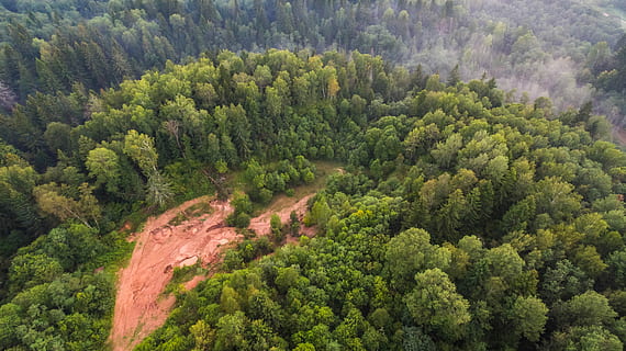ocell, vista d'ulls, verd, arbres, aèria, vista, lliscament de terra, bosc, arbre, desert, turó, brutícia, rural, vista dels ocells, a dalt, drone, erosió, neteja, naturalesa, a l'aire lliure, planta, bellesa a la natura, color verd, escenics - natura, creixement, vista d’angle alt, escena tranquil·la, tranquil·litat, cap gent, terra, dia, medi ambient, exuberant fullatge, fullatge, muntanya, escena no urbana, paisatge, pi, arbre de coníferes, bosc de pi, 4K, CC0, domini públic, lliure de regalies