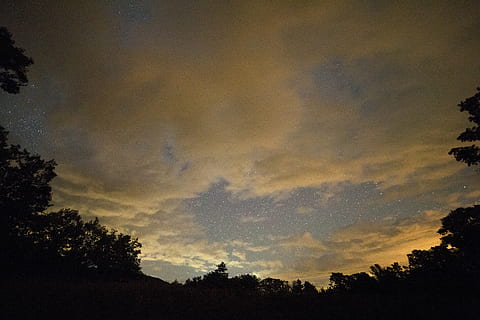 núvols, fosc, alba, vespre, tarda, boira, paisatge, llum, nit, a l'aire lliure, silueta, estrelles, posta de sol, arbres, temps, naturalesa, cel, arbre, núvol - cel, planta, bellesa a la natura, tranquil·litat, escenics - natura, escena tranquil·la, cap gent, vista d’angle baix, creixement, cel dramàtic, idíl·lic, escena no urbana, 5K, CC0, domini públic, lliure de regalies