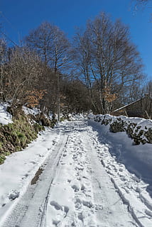 sti, sne, Nevado, vinter, landskab, natur, nevada, bjerg, snevejr, kold, is, snedækket landskab, bjergvej, bjerglandskab, hvid, landlige vej, gå, træer, bjergbestigning, fredelig, kold temperatur, træ, vejen frem, retning, himmel, transportmidler, bare træ, plante, hvid farve, ingen mennesker, vej, scenics - natur, ro, skønhed i naturen, dækker, Frosset, faldende perspektiv, udendørs, snedækket bjerg, 5K, CC0, offentligt domæne, royaltyfrie