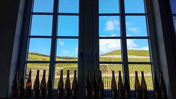 window, view, mountains, wine, vineyard, nature, landscape, wine bottles, time out, rest, recovery, blue sky, winegrowing, vines, gut hermannsberg, sky, glass - material, architecture, plant, transparent, blue, cloud - sky, indoors, built structure, no people, tree, building, day, reflection, silhouette, grass, architectural column, window frame, 4K, CC0, public domain, royalty free