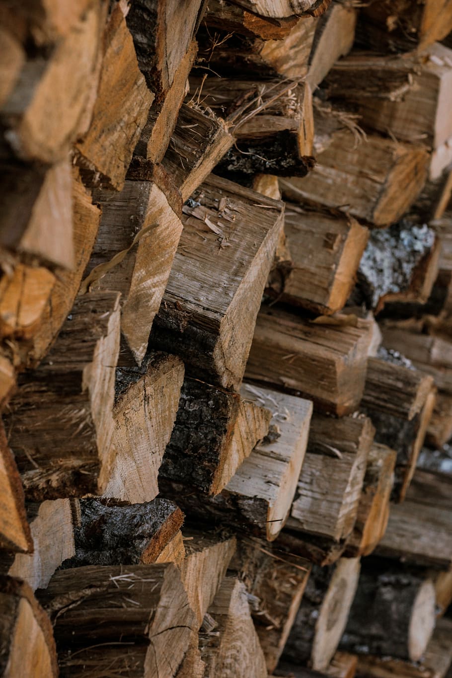 malkos laidas, Iš arti, fotografija, visą kadrą, mediena - medžiaga, gausa, fonas, kamino, nėra žmonių, didelė objektų grupė, mediena, tekstūruotas, ruda, žurnalas, lauke, dieną, atrankinis dėmesys, medis, pobūdį, miškas, miškų naikinimas, 5K