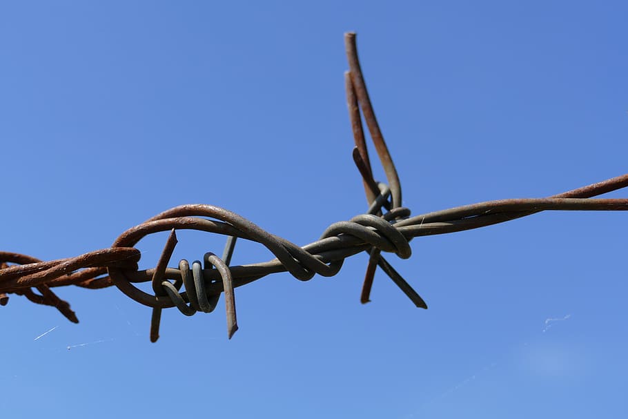filferro espinós, nus, agut, capturat, òxid, obstacle, metall, seguretat, blau, cable, protecció, cel, tanca, límit, barrera, naturalesa, cap gent, primer pla, dia, rovellat, signe, connexió, vista d’angle baix, a l'aire lliure, ferro - metall, acer, exclusió, 5K