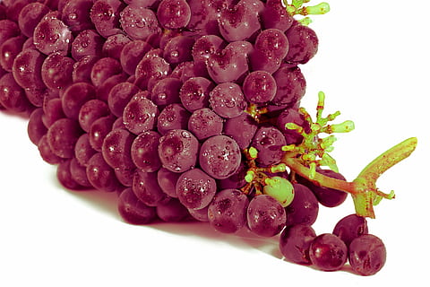 uva, uva roja, Fruta, grupos, comida, imagen, comida y bebida, alimentación saludable, de cerca, frescura, púrpura, foto de estudio, nadie, rojo, fruta de baya, bienestar, adentro, Fondo blanco, naturaleza muerta, planta, naturaleza, frambuesa, hoja, separar, maduro, grosella, 2K, CC0, dominio público, libre de derechos
