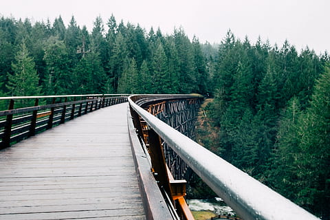 bridge, forest, pine trees, sky, nature, railroad Track, tree, transportation, landscape, outdoors, plant, connection, bridge - man made structure, railing, built structure, water, architecture, scenics - nature, non-urban scene, day, no people, growth, beauty in nature, tranquility, footbridge, pine tree, coniferous tree, long, 2K