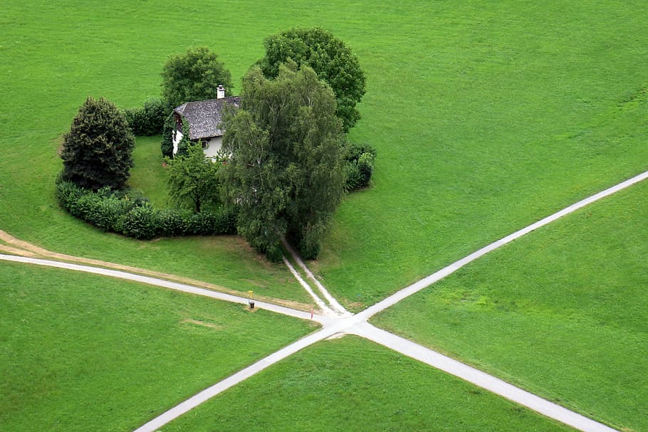 aèria, veure la fotografia, gris, casa, envoltat, verd, arbres de fulles, durant el dia, cruïlla de camins, cruïlla, carretera, decisió, elecció, alternativa, selecció, lluny, direcció, d'una altra manera, oportunitat, perspectiva, herba, esport, color verd, planta, arbre, naturalesa, vista d’angle alt, camp, dia, cap gent, terra, medi ambient, creixement, paisatge, a l'aire lliure, arquitectura, bellesa a la natura, gespa, escenics - natura, fullatge, cobertura, 2K