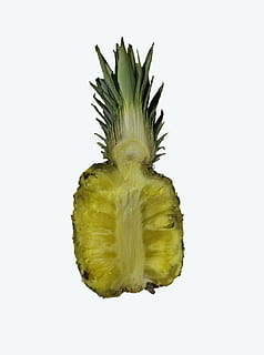 meyve, Ananas, Sarı, stüdyo çekimi, Beyaz arkaplan, sağlıklı beslenme, içeriye, tazelik, kapatmak, refah, yiyecek ve içecek, Gıda, yeşil renk, insansız, natürmort, tek nesne, kesmek, dilim, enine kesit, kivi, 2K, CC0, kamu malı, telif ücretsiz