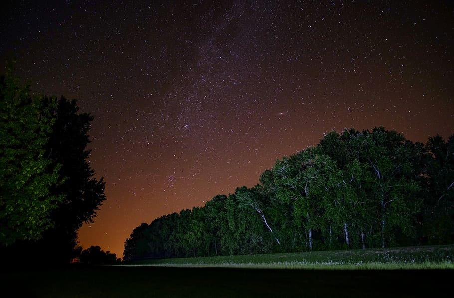 fotografie, verde, leafed, copaci, noapte, stea, copac, cer, pădure, peisaj, cer de noapte, natură, universul meu, eșalonate, frumusețe în natură, stea - spațiu, scenice - natura, astronomie, plantă, liniște, spaţiu, o scenă liniștită, nici o persoana, galaxie, idilic, siluetă, apă, creştere, spațiu și astronomie, 4K