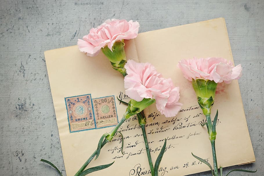 tres, rosa, flors de pètals, lletres, sobre, vell, antiguitat, publicació, etiquetat, paper, clau, flors, rosa clavell, nombre de peces, flors tallades, tancar, natura morta, bouquet, romanç, flor de roses, color rosa, amor, flor, decoració, fons, regal, celebració, planta amb flors, planta, taula, naturalesa, llibre, bellesa a la natura, a l'interior, cap gent, frescor, comunicació, vista d’angle alt, primer pla, cap de flor, document, pètal, correspondència, carta d’amor, arranjament floral, 1080P