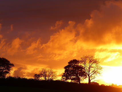 posta de sol, foc, arbre, flama, vermell, taronja, cel, núvol - cel, planta, bellesa a la natura, color taronja, escenics - natura, silueta, naturalesa, medi ambient, tranquil·litat, cap gent, paisatge, escena tranquil·la, cel dramàtic, a l'aire lliure, terra, groc, fosc, bosc, 4K, CC0, domini públic, lliure de regalies