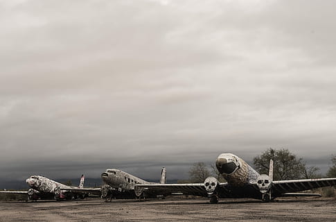 drei, Ebene, Tageszeiten, drei grauweiße Flugzeuge, Flugzeug, Wolke, geerdet, Flugzeugträger, wolke - himmel, Luftfahrzeug, Himmel, Transport, Natur, Tag, die Vergangenheit, Geschichte, Militär-, Transportmittel, die Architektur, draußen, in voller Länge, keine Leute, bedeckt, Baum, 2K, CC0, gemeinfrei, lizenzfrei