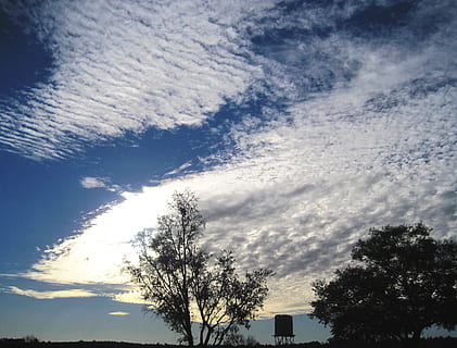 sky, blue, clouds, mass, white, fleecy, dainty, stratus, trees, water tower, cloud - sky, tree, plant, low angle view, beauty in nature, scenics - nature, silhouette, nature, no people, tranquility, tranquil scene, day, outdoors, growth, sunset, sunlight, idyllic, architecture, meteorology, wispy, 2K, CC0, public domain, royalty free