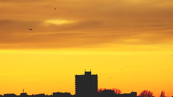 alba, natura, cielo, nuvole, retroilluminato, edifici, crepuscolo, ambiente, idilliaco, panoramico, silhouette, tranquillo, tramonto, architettura, esterno dell'edificio, colore arancione, struttura costruita, uccello, vertebrato, città, nuvola - cielo, temi animali, bellezza nella natura, costruzione, nessuno, animale, scenics - natura, volante, cielo drammatico, paesaggio urbano, all'aperto, grattacielo, cielo romantico, edificio per uffici esterno, 5K, CC0, dominio pubblico, privo di copyright
