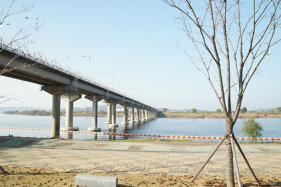 pas superior, vora del riu, riu, camp, Corea, paisatge, naturalesa, bosc, viatjar, aigua, parc, verd, fusta, piscina, cel, premis, pont - estructura feta per l'home, transport, pont, connexió, estructura construïda, arquitectura, arbre, dia, cel clar, planta, cap gent, arbre nu, a l'aire lliure, llum solar, columna arquitectònica, 4K