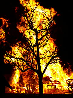 ild, brænde, helvede, varm, varme, flamme, blis, radio, vinterdrev, gnist brand, frühlingsanfang, træ, silhuet, omrids, plante, brænding, natur, orange farve, ingen mennesker, brand - naturligt fænomen, varme - temperatur, solnedgang, himmel, udendørs, arkitektur, træstamme, røg - fysisk struktur, afdeling, miljøskader, nat, 4K, CC0, offentligt domæne, royaltyfrie