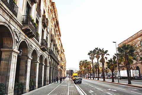 fotografia, grigio, calcestruzzo, strada, costruzione, strada cementata, architettura, scena urbana, struttura costruita, città, esterno dell'edificio, mezzi di trasporto, via della città, destinazioni di viaggio, viaggio, modo di trasporto, cielo, albero, auto, natura, veicolo a motore, cielo sereno, giorno, pianta, direzione, la strada davanti, Palma, all'aperto, nessuno, prospettiva decrescente, 5K, CC0, dominio pubblico, privo di copyright