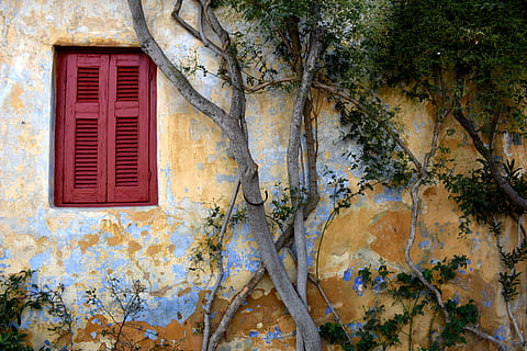 Grün, blätterte, Bäume, Vorderseite, Beton, Wand, rot, hölzern, Fenster, braun, Baummarke, Fassade, alt, gemalt, Peeling, gebaute Struktur, die Architektur, Gebäudehülle, verwittert, Pflanze, Tag, keine Leute, Baum, Gebäude, Wandbau - Funktion, draußen, verlassen, Flachwinkelansicht, Haus, beschädigt, heruntergewirtschaftet, Wachstum, Verschlechterung, 4K, CC0, gemeinfrei, lizenzfrei
