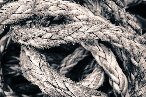 macro shot, rope, knot, string, strength, cordage, close-up, no people, tied up, day, textured, twisted, pattern, focus on foreground, connection, nature, full frame, outdoors, tied knot, rough, wood - material, backgrounds, tree, detail, complexity, tangled, 5K, CC0, public domain, royalty free