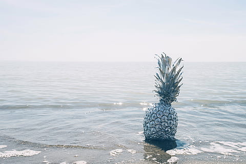 Ananasfrucht, Karosserie, Wasser, tagsüber, Ananas, Dessert, Vorspeise, Obst, Saft, Ernte, Strand, Ozean, Meer, Sand, Wellen, Tag, keine Leute, draußen, Natur, Horizont über Wasser, Tierthemen, Leben im Meer, Horizont, kopieren sie platz, Ruhe, Land, Himmel, ruhige Szene, Szenen - Natur, Schönheit in der Natur, Pflanze, klarer Himmel, Baum, 5K, CC0, gemeinfrei, lizenzfrei