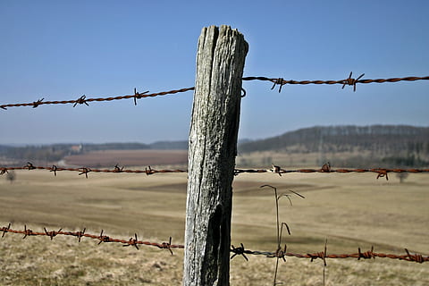hegn, pigtråd hegn, stolpe, kvæg indviet, græs, eng, Mark, landbrug, natur, græsse, forår, pigtråd, afgrænsning, tråd, kobling, landskab, træ, sikkerhed, beskyttelse, barriere, grænse, metal, himmel, forbudt, dag, jord, ingen mennesker, fokus på forgrunden, skarp, advarselsskilt, miljø, udendørs, undtagelse, 2K, CC0, offentligt domæne, royaltyfrie